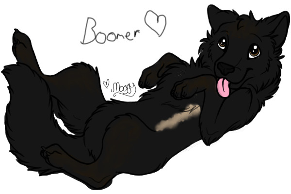 Boomer <3