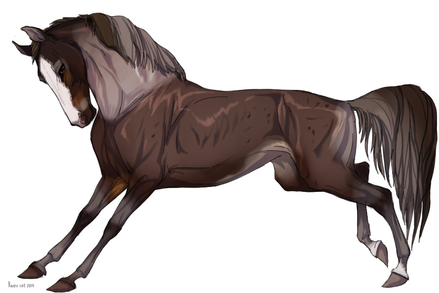 Cervinne Horses|#9