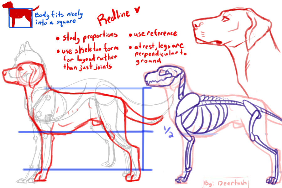 Ridgeback redline