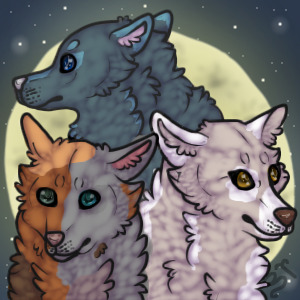 The 3 wolves