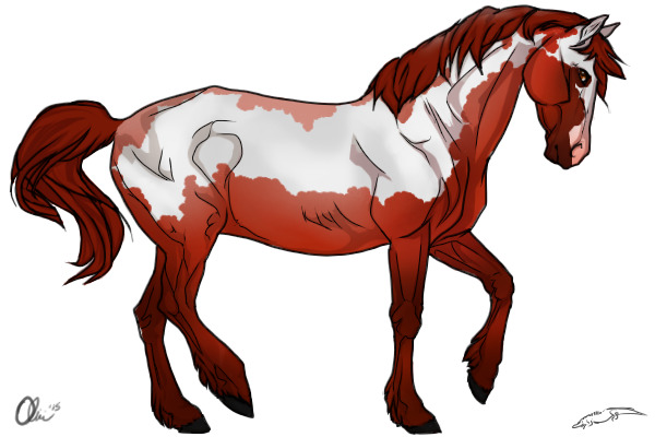 Red Roan Frame Overo