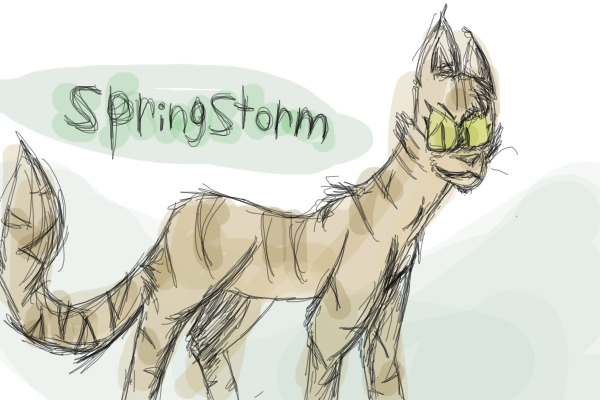 Springstorm