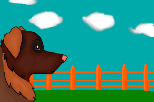 Brownie