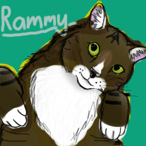 Zero's Cat Rammy
