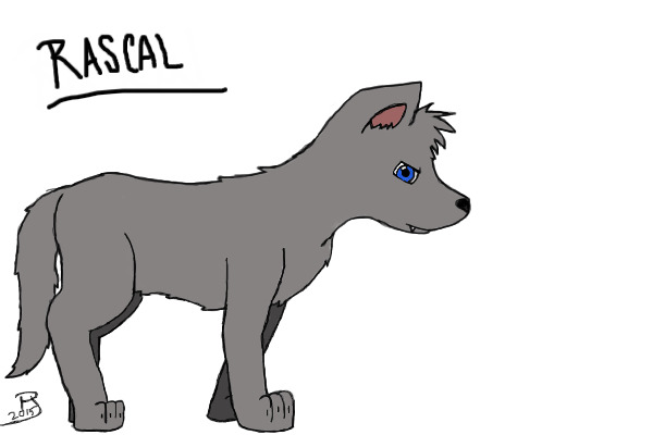 Rascal, the lone wolf pup.