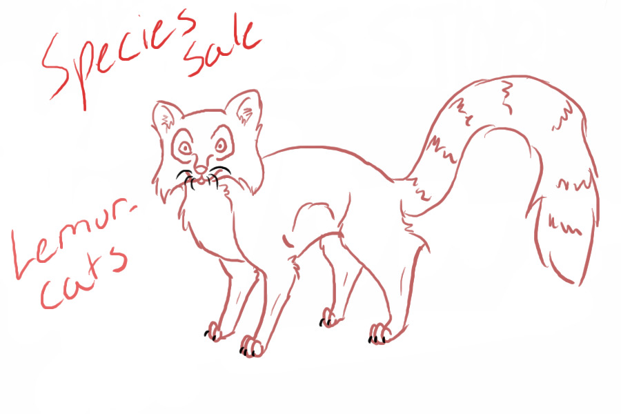 Lemur-cats! Species sale