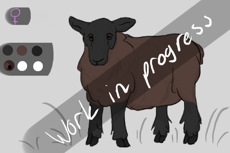 Sheep adoptables