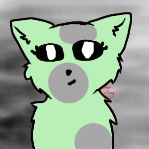 Kitten avatar
