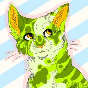 Apple-green cat