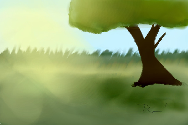 Early in the morning...