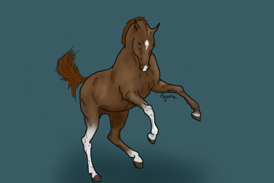 Chestnut Foal