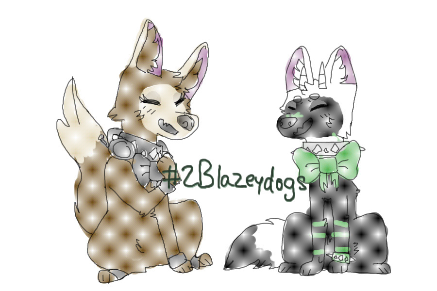 #2blazeydogs