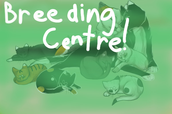 Breeding Centre! Cats! FREE!