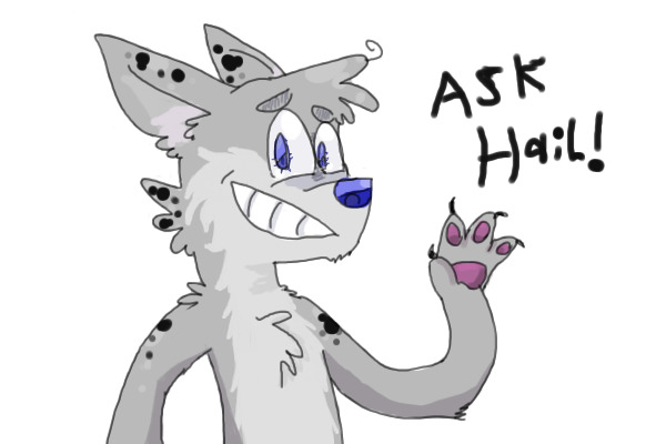 Ask Hail Stuff!