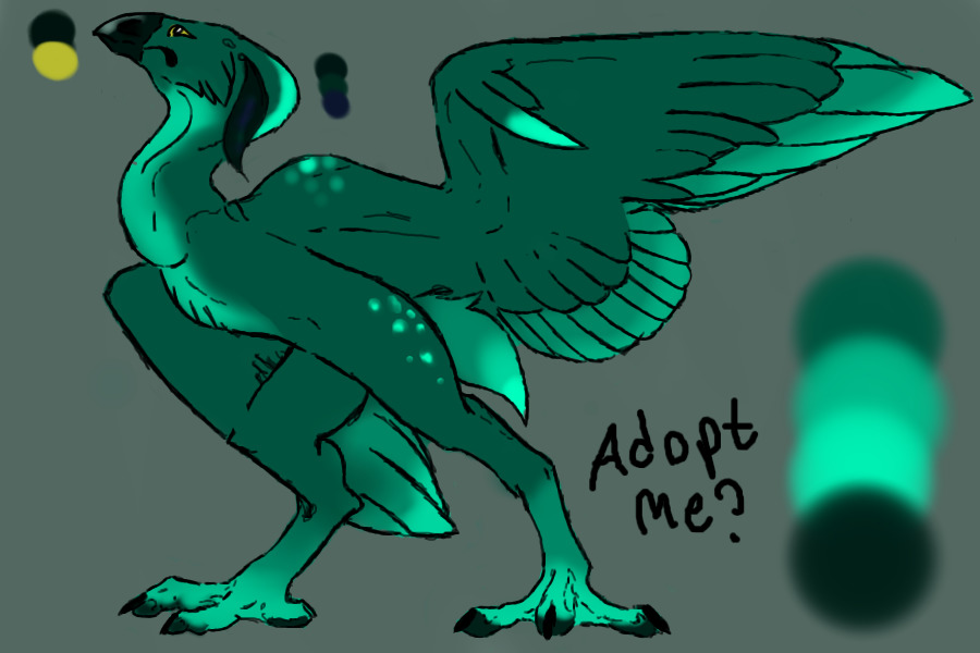 Dragon Bird! Adopt me?