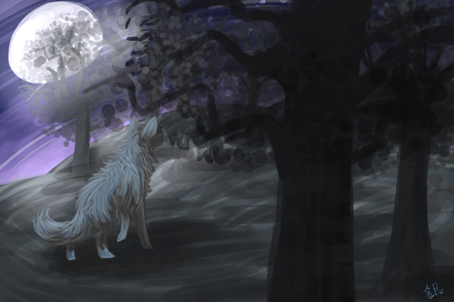 Forest thing