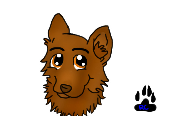 Brown Wolf/Dog
