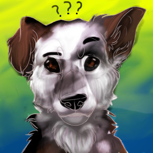 Buy Me? Cute Dog avatar!