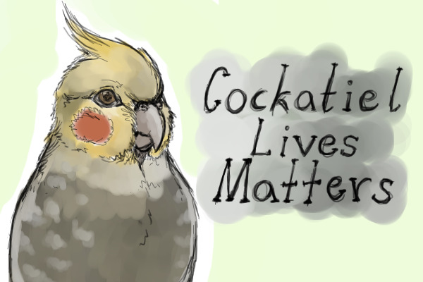 Cockatiel Lives