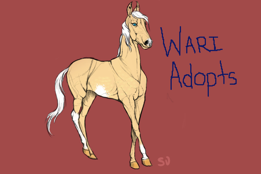 Wari Adopts