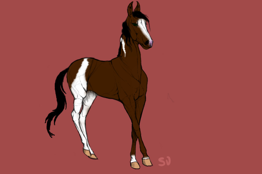 #002 (Custom for Svavellitium)