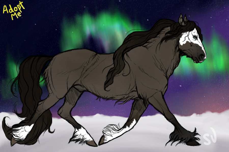 Arctic Barb #0005 - Dunskin Stallion