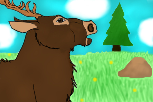 Elk on a spring day