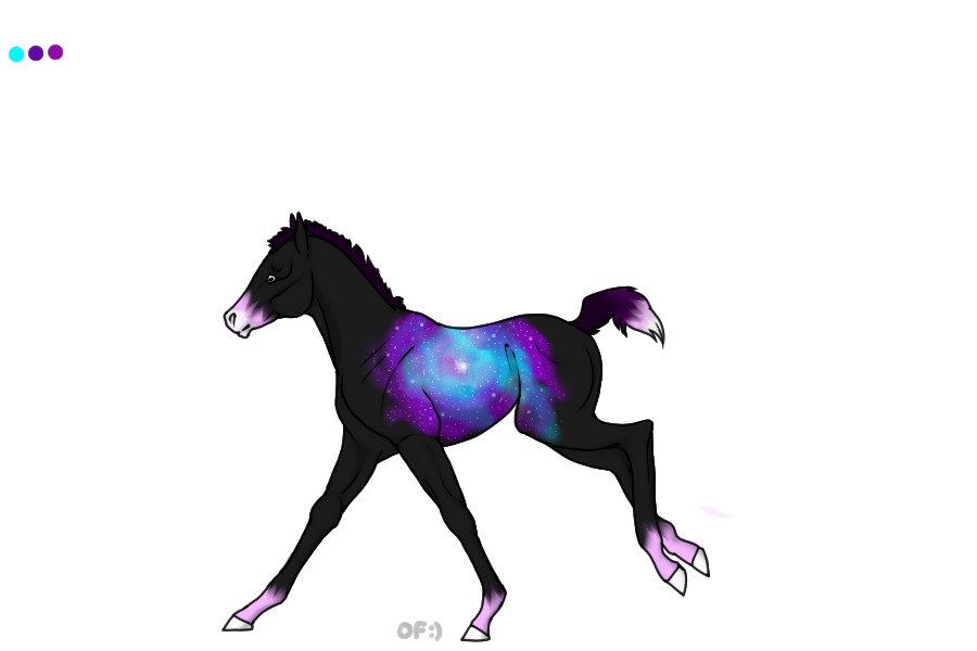 Galaxy foal