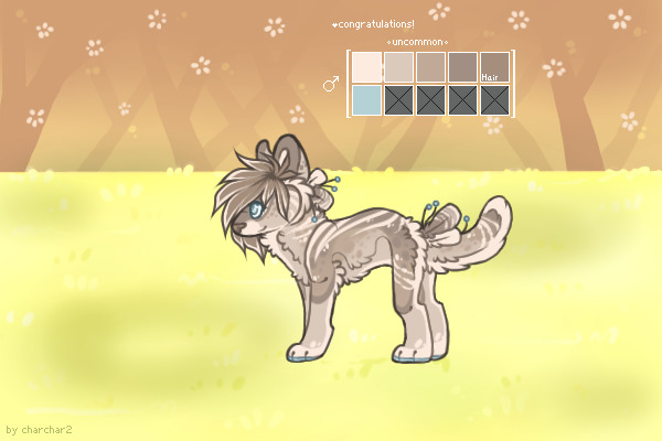 Corvin - Nursery Batch #285