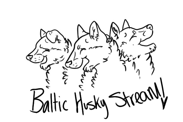 Baltic Husky Stream