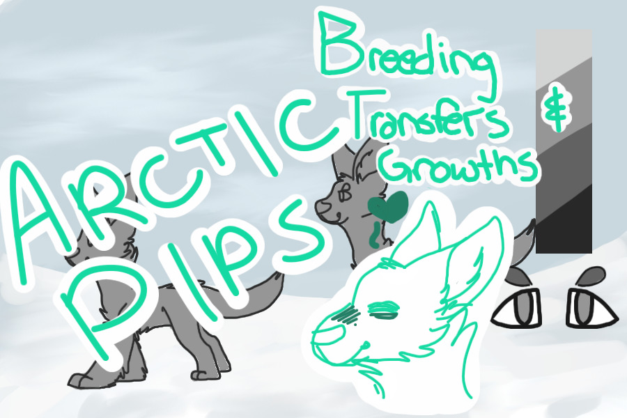 ☃Arctic Pips☃ Breedings/transers/growths