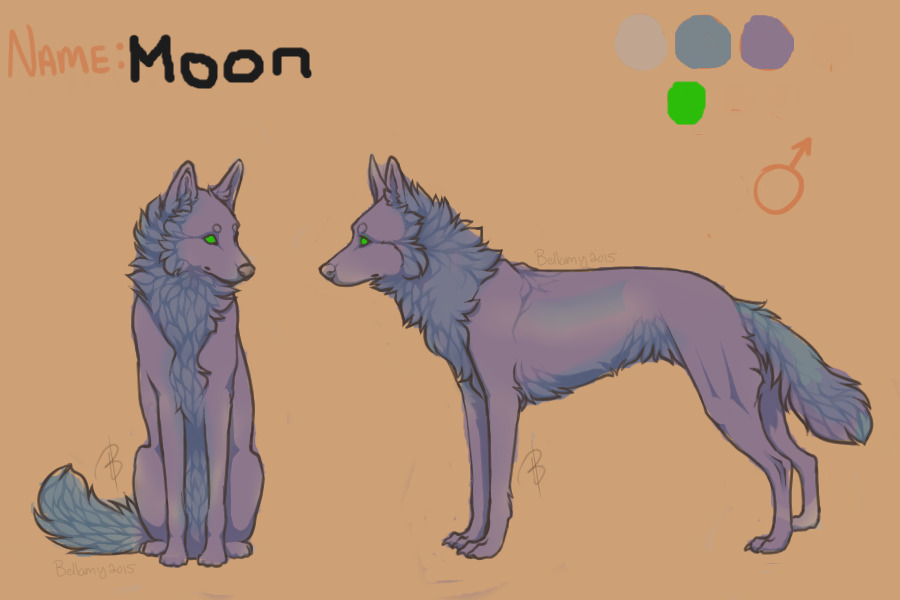 Wolf Color in