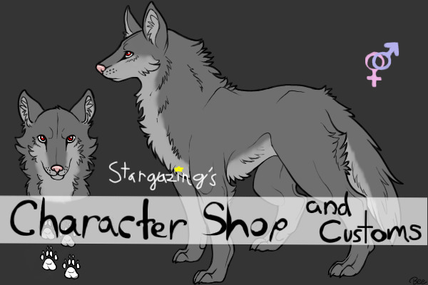Stargazing's Character Shop (and Customs!)