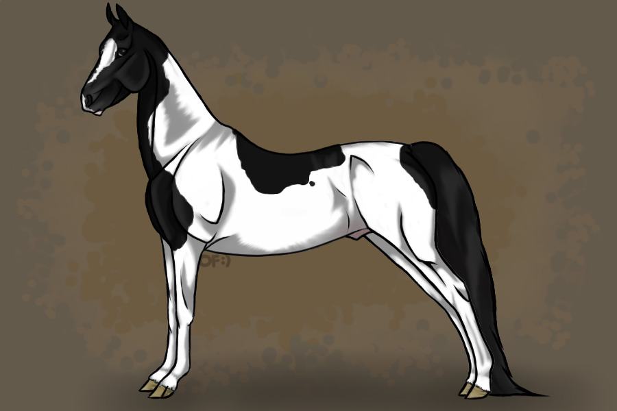 Entry #1: Black Pinto Stallion
