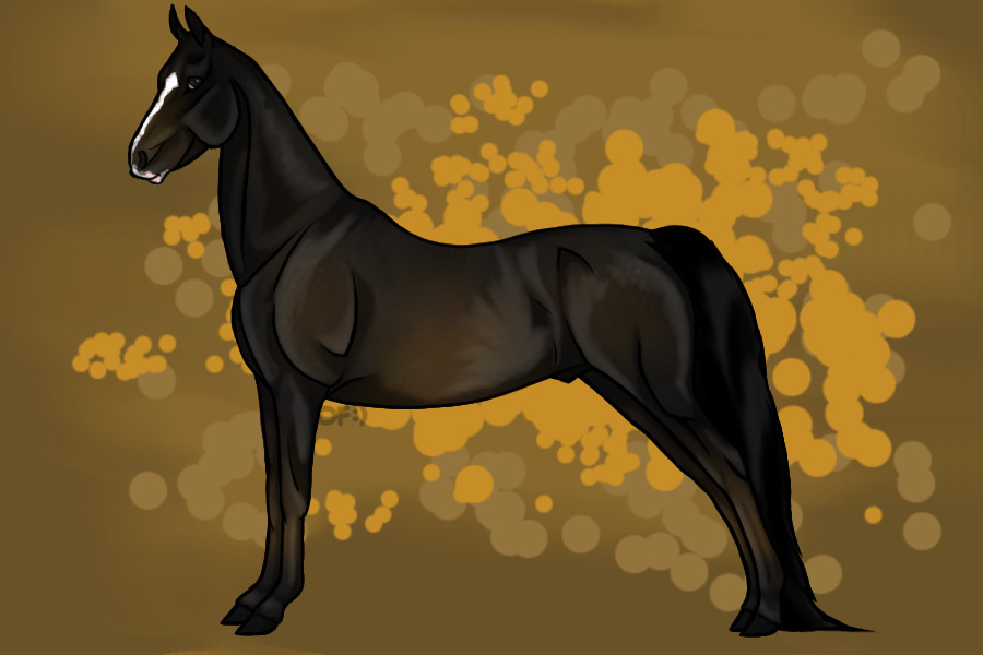 Entry 2: Dark Dapple Bay Stallion