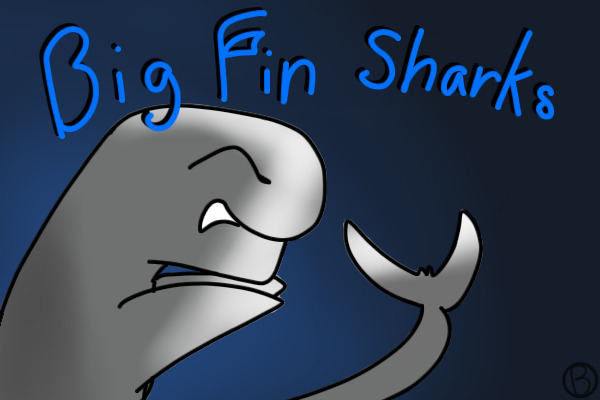 Big Fin Sharks Adopts