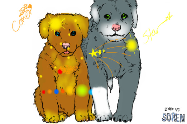 Puppies
