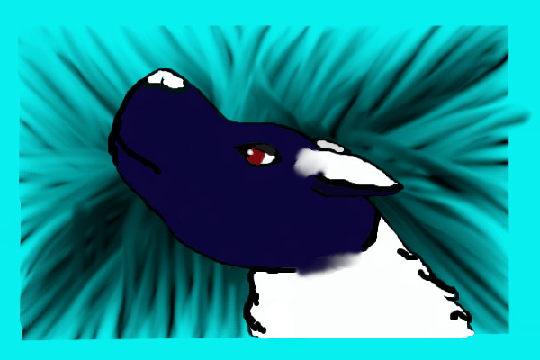 For the contest :3