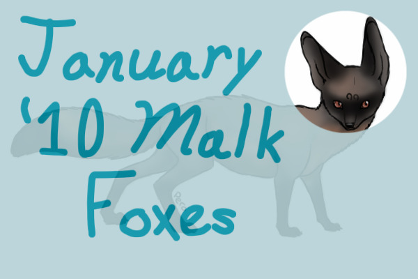 January 2010 Malk Foxes