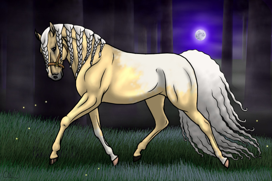 ~❊~ #43 Midnight Stallions ~❊~
