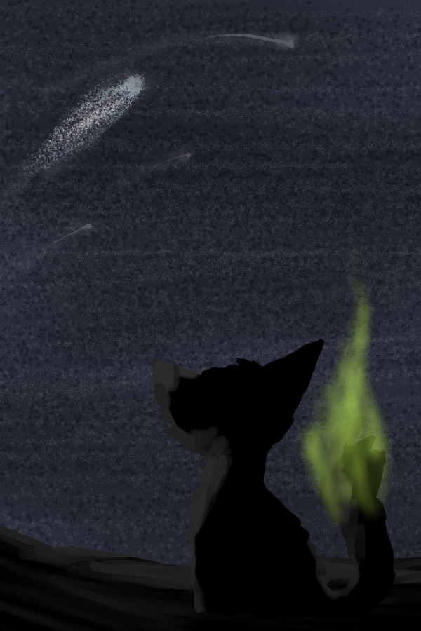 Carve your name into the shining stars