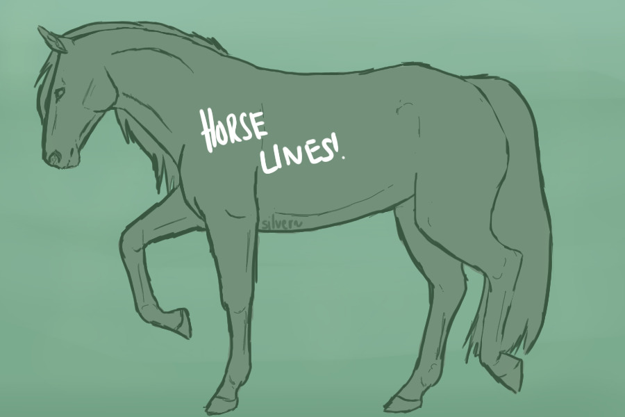 horse lines