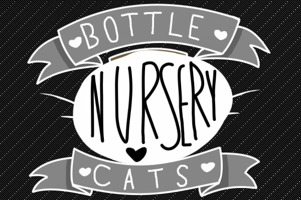 bottle cats nursery - major wip
