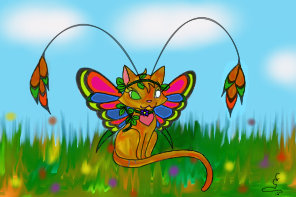Butterfly cat