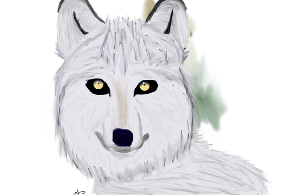 A Wolf