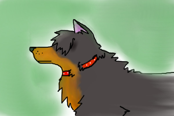 Brutus