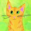 Cat avatar