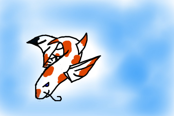 Koi