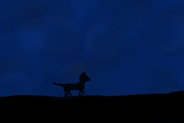Wolf's Silhouette