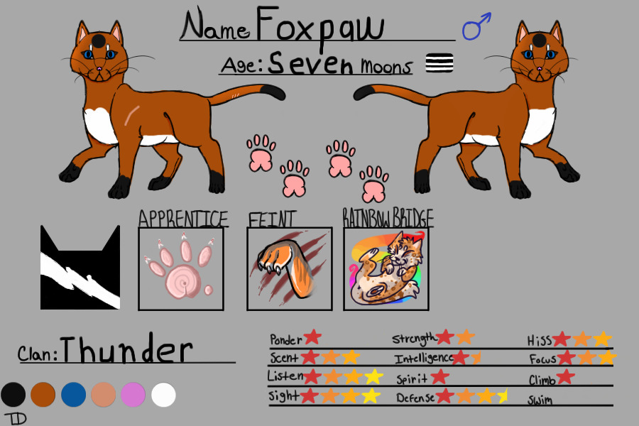 Foxpaw